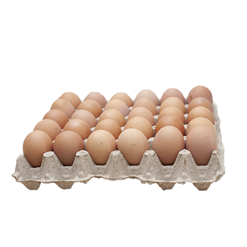 Eggs (largest sizes) Revolfoods